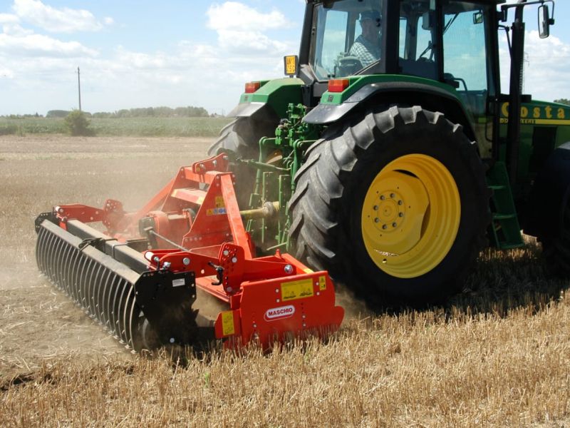 Maschio