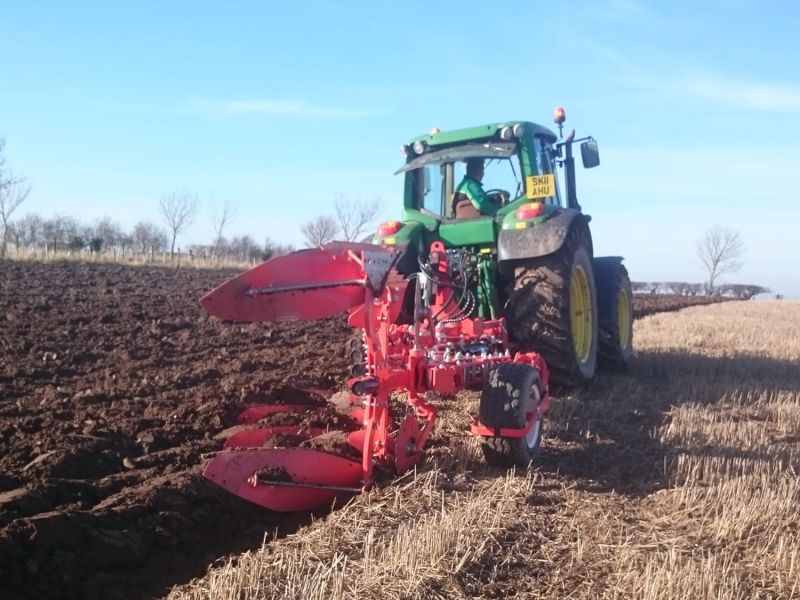 Maschio