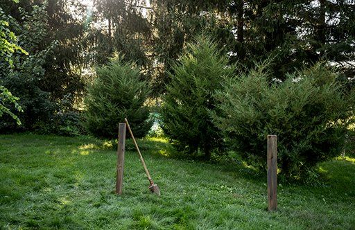 Wessex Finishing Mowers For Sale